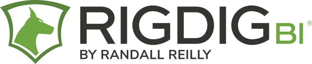 RigDig BI Logo
